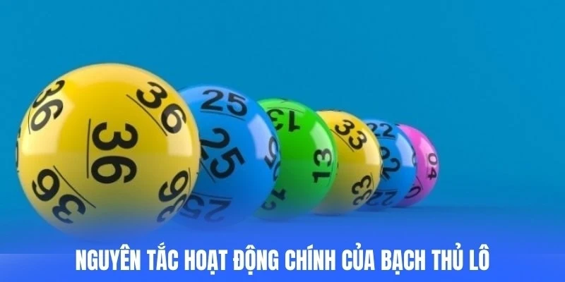 Nguyên tắc hoạt động chính của bạch thủ lô