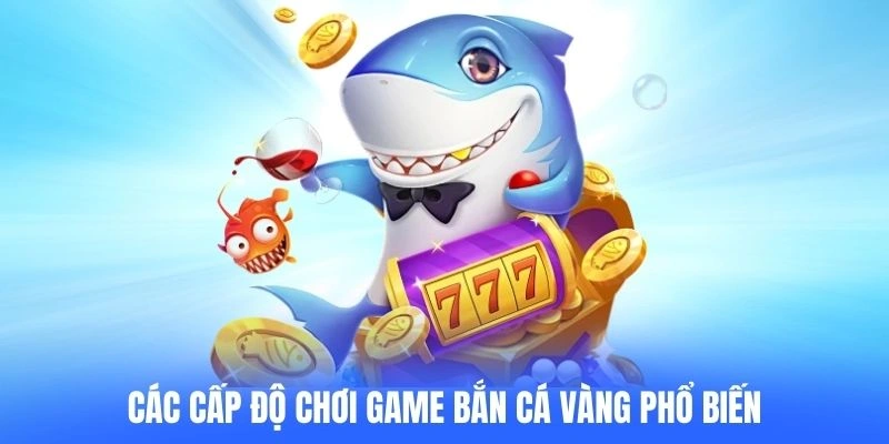 Các cấp độ chơi game bắn cá vàng phổ biến