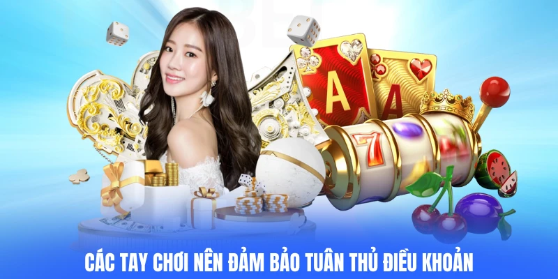 Các tay chơi nên đảm bảo tuân thủ điều khoản
