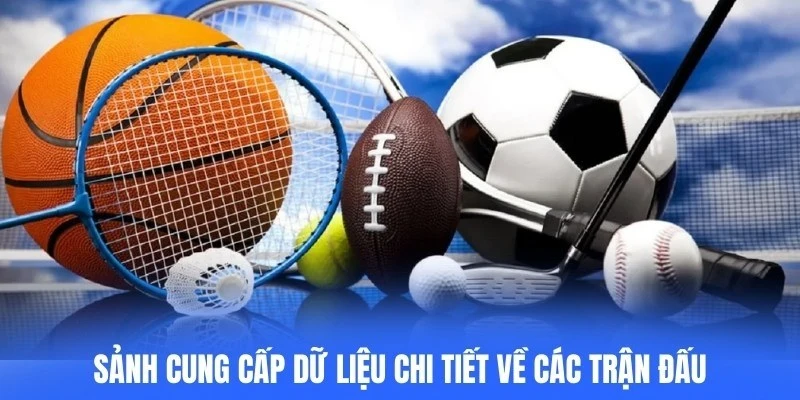 Sảnh cung cấp dữ liệu chi tiết về các trận đấu, từ phong độ đến lịch sử