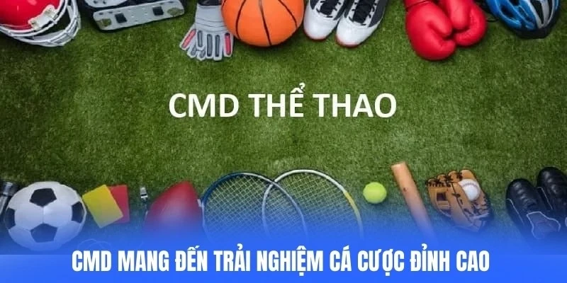 CMD mang đến trải nghiệm cá cược đỉnh cao cho người chơi Việt
