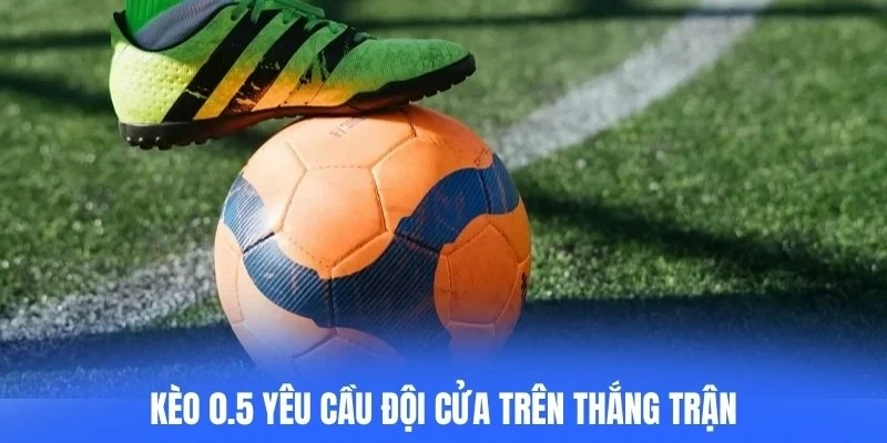 Kèo 0.5 yêu cầu đội cửa trên thắng trận mới giúp người chơi hưởng lợi