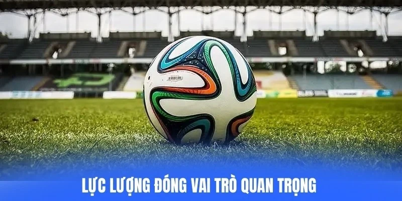 Lực lượng đóng vai trò quan trọng trong mọi quyết định chơi cược châu Á