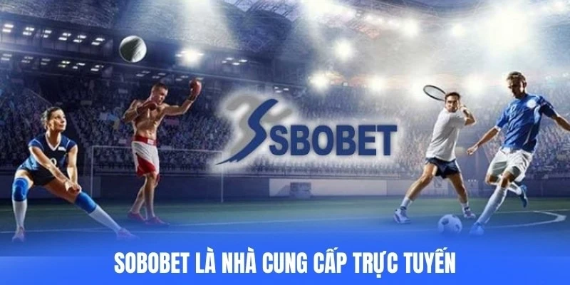 Sobobet là nhà cung cấp trực tuyến chuyên về cá cược thể thao